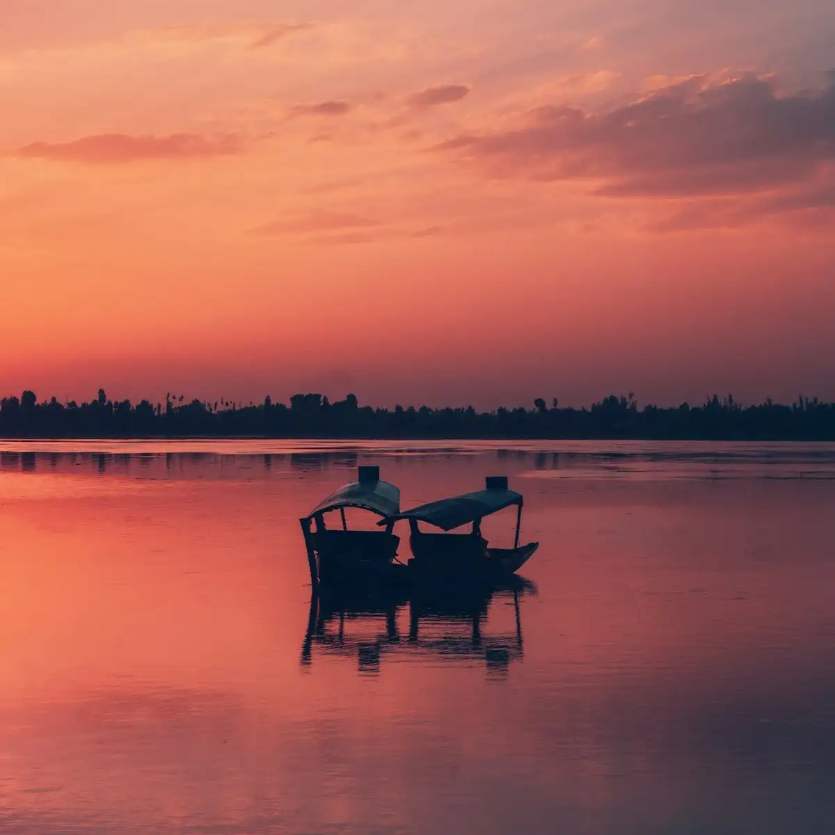 Serene view of Dal Lake in Kashmir
